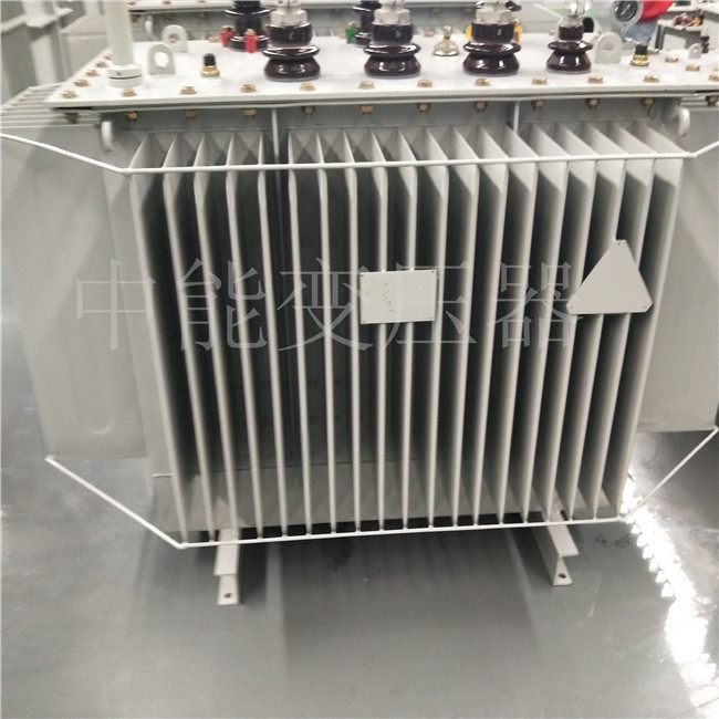 黔西南S20-800KVA变压器